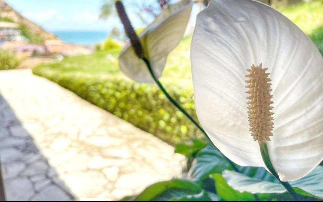 Vista Bela Pousada 모로데상파울루 외부 사진